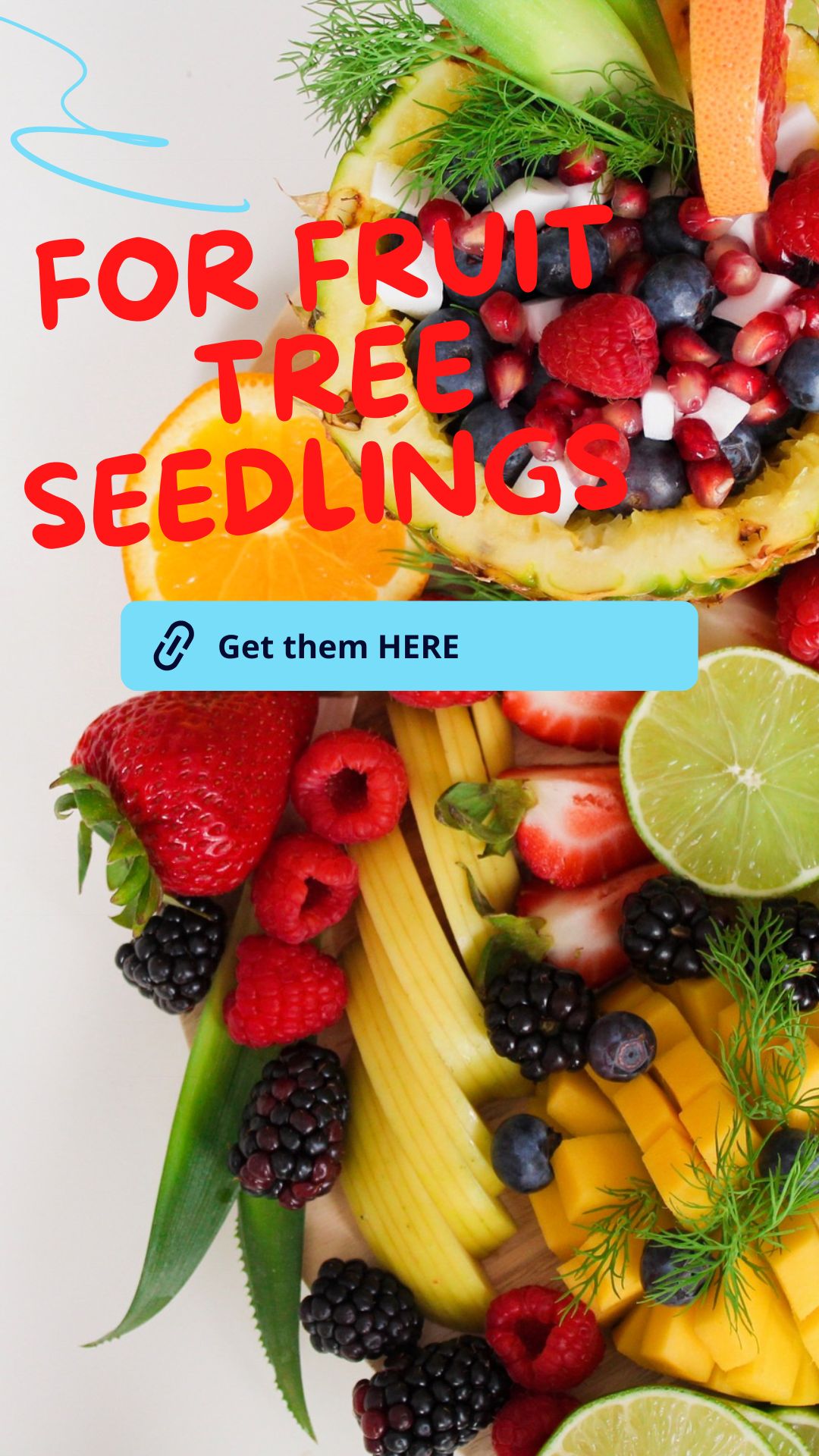 FOR fruit seedlings